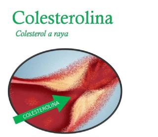 Imagen de COLESTEROLINA COLESTEROL A RAYA