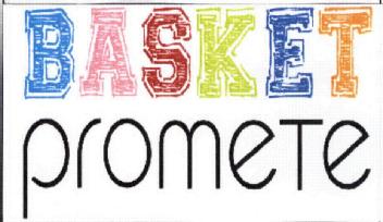 Imagen de BASKET PROMETE