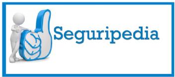 Imagen de SEGURIPEDIA