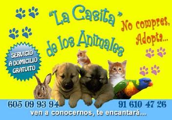Imagen de LA CASITA DE LOS ANIMALES