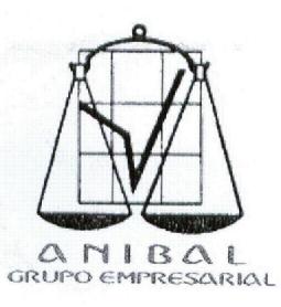 Imagen de ANIBAL GRUPO EMPRESARIAL