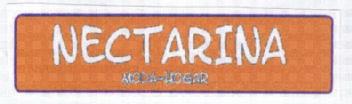 Imagen de NECTARINA