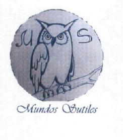 Imagen de MUNDOS SUTILES