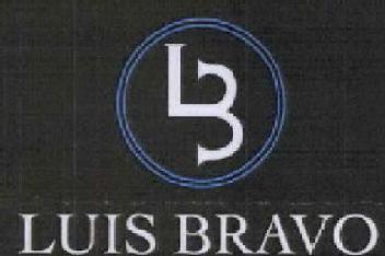 Imagen de LUIS BRAVO