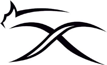 Imagen de X