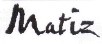 Imagen de MATIZ