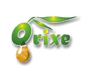 Imagen de ORIXE
