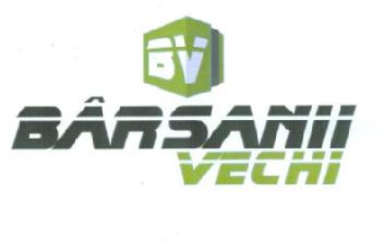 Imagen de BV BARSANII VECHI
