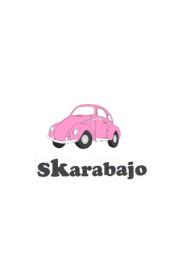 Imagen de SKARABAJO
