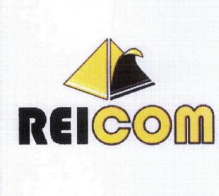 Imagen de REICOM