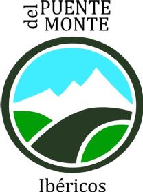 Imagen de PUENTE DEL MONTE IBERICOS