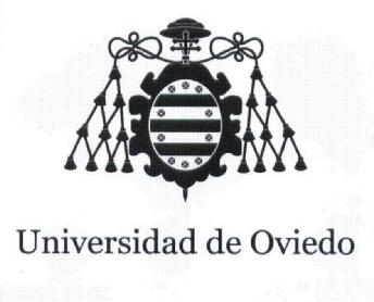 Imagen de UNIVERSIDAD DE OVIEDO