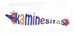 Imagen de KAMINESITAS