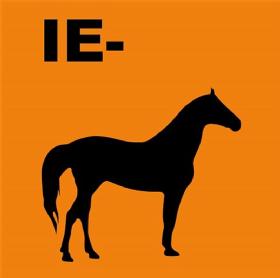 Imagen de IE-