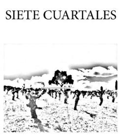 Imagen de SIETE CUARTALES