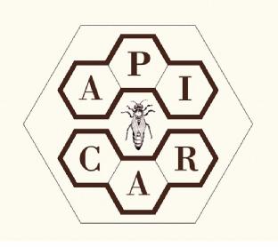 Imagen de APICAR