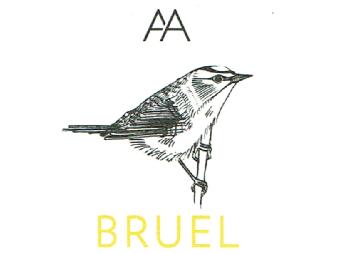 Imagen de AA BRUEL
