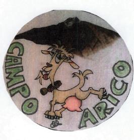 Imagen de CAMPO ARICO