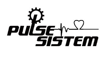 Imagen de PULSE SISTEM