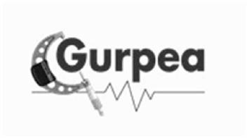 Imagen de GURPEA