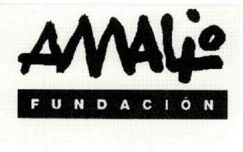 Imagen de AMALIO FUNDACION