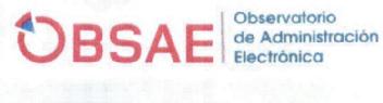 Imagen de OBSAE OBSERVATORIO DE ADMINISTRACION ELECTRONICA