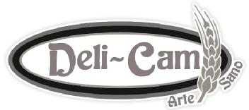 Imagen de DELI-CAM ARTE SANO