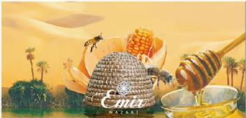 Imagen de EMIR NAZARI