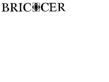 Imagen de BRICOCER