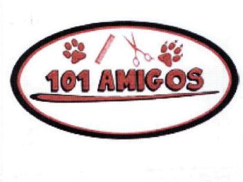 Imagen de 101 AMIGOS