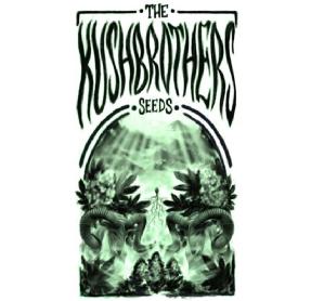 Imagen de THE KUSH BROTHERS SEEDS