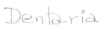 Imagen de DENTARIA