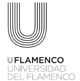 Imagen de UFLAMENCO UNIVERSIDAD DEL FLAMENCO