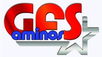 Imagen de GFS AMINOS