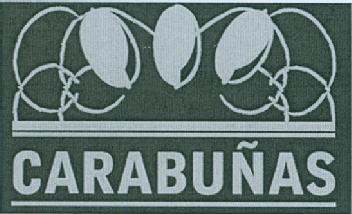 Imagen de CARABUÑAS