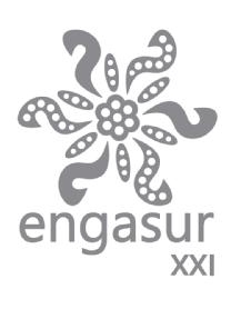 Imagen de ENGASUR XXI
