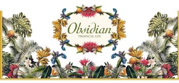 Imagen de OBSIDIAN TROPICAL GIN