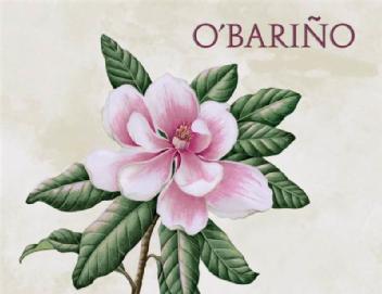 Imagen de O\'BARIÑO