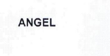 Imagen de ANGEL