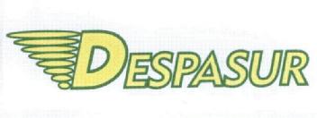 Imagen de DESPASUR