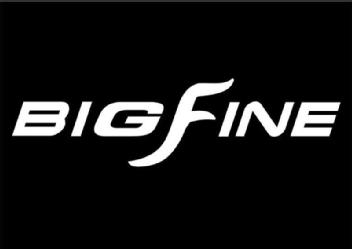 Imagen de BIG FINE