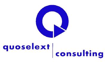 Imagen de Q QUOSELEXT CONSULTING