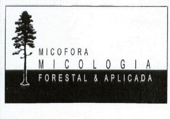 Imagen de MICOFORA MICOLOGIA FORESTAL & APLICADA
