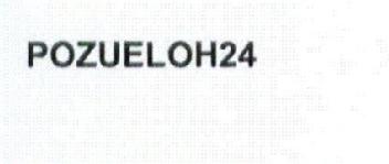 Imagen de POZUELOH24