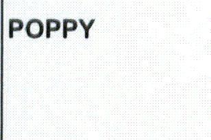 Imagen de POPPY