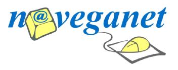 Imagen de NAVEGANET
