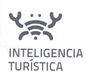 Imagen de INTELIGENCIA TURISTICA
