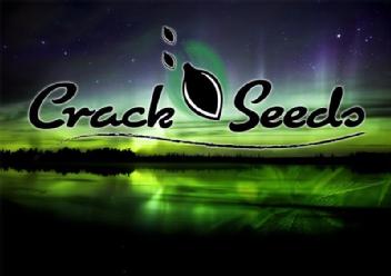 Imagen de CRACK SEEDS