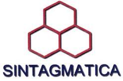 Imagen de SINTAGMATICA