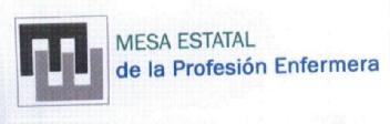 Imagen de MESA ESTATAL DE LA PROFESION ENFERMERA